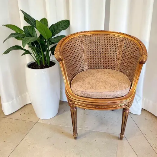 Classic armchair — AD-5653