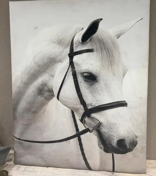 ديكور مجلس — MJ-0042