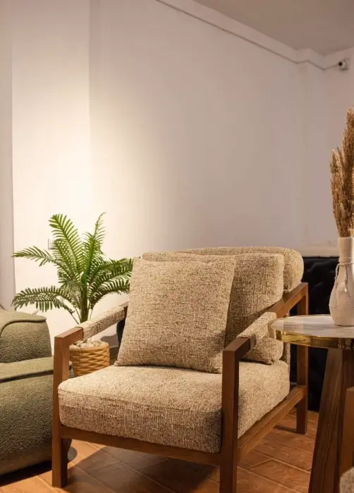 Modern armchair — MD-0101