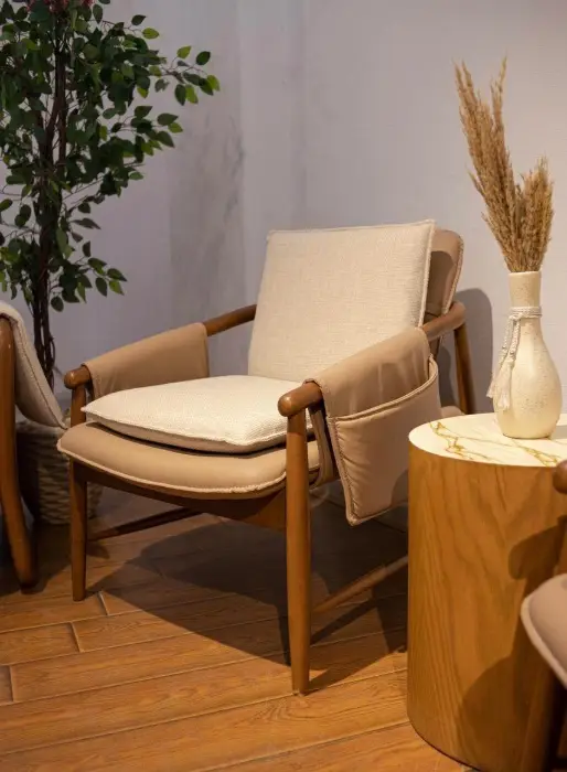 Modern armchair — MD-0111